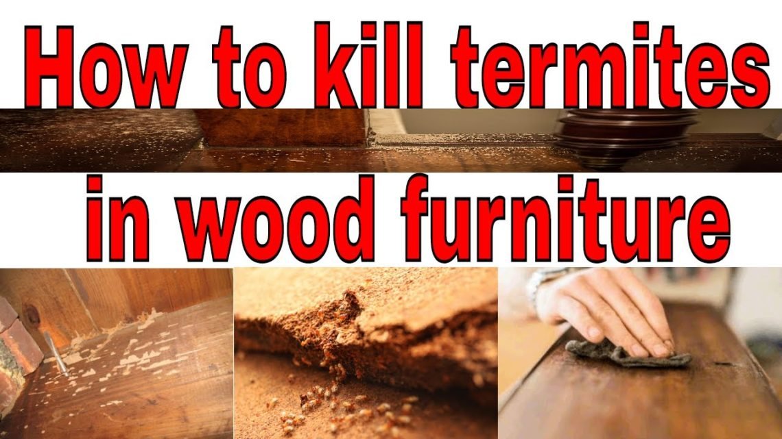 how to kill termites in wood furniture