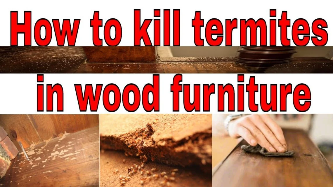 how to kill termites in wood furniture