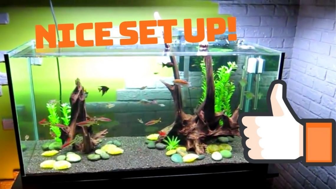 How to Install an Aquarium