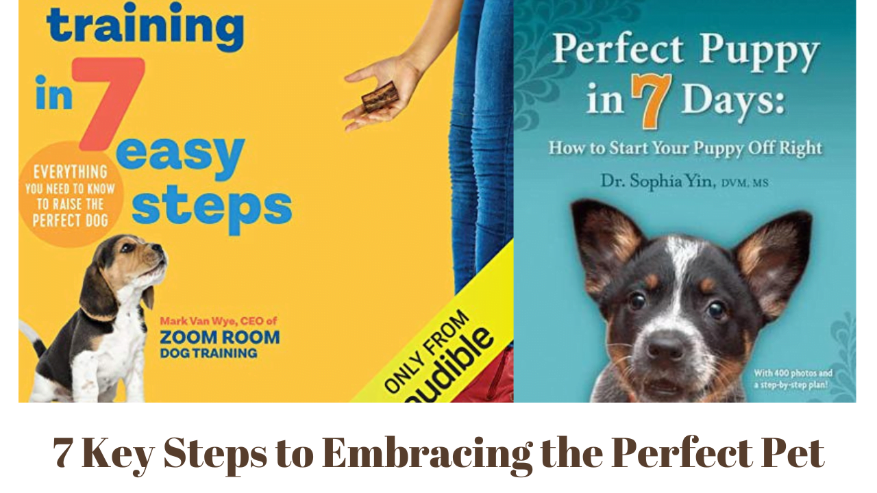 7 Key Steps to Embracing the Perfect Pet