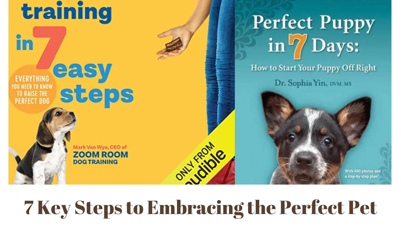7 Key Steps to Embracing the Perfect Pet