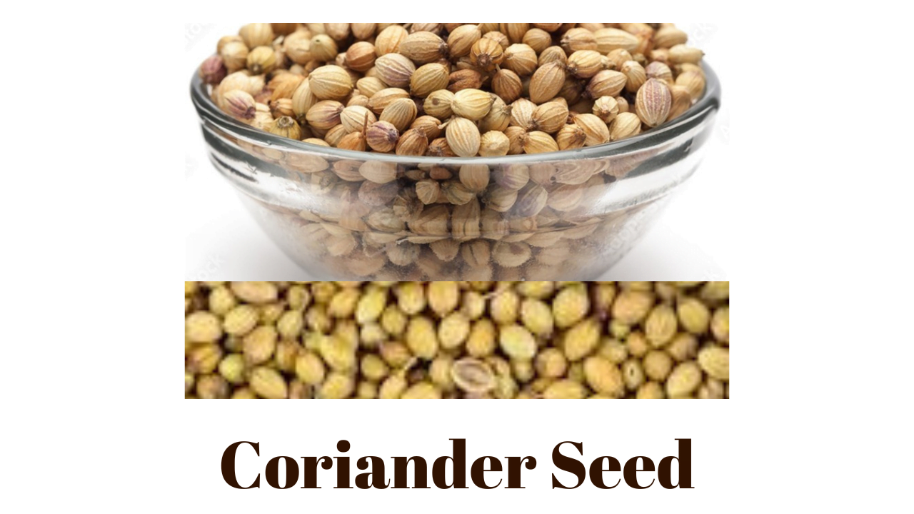 Coriander Seed