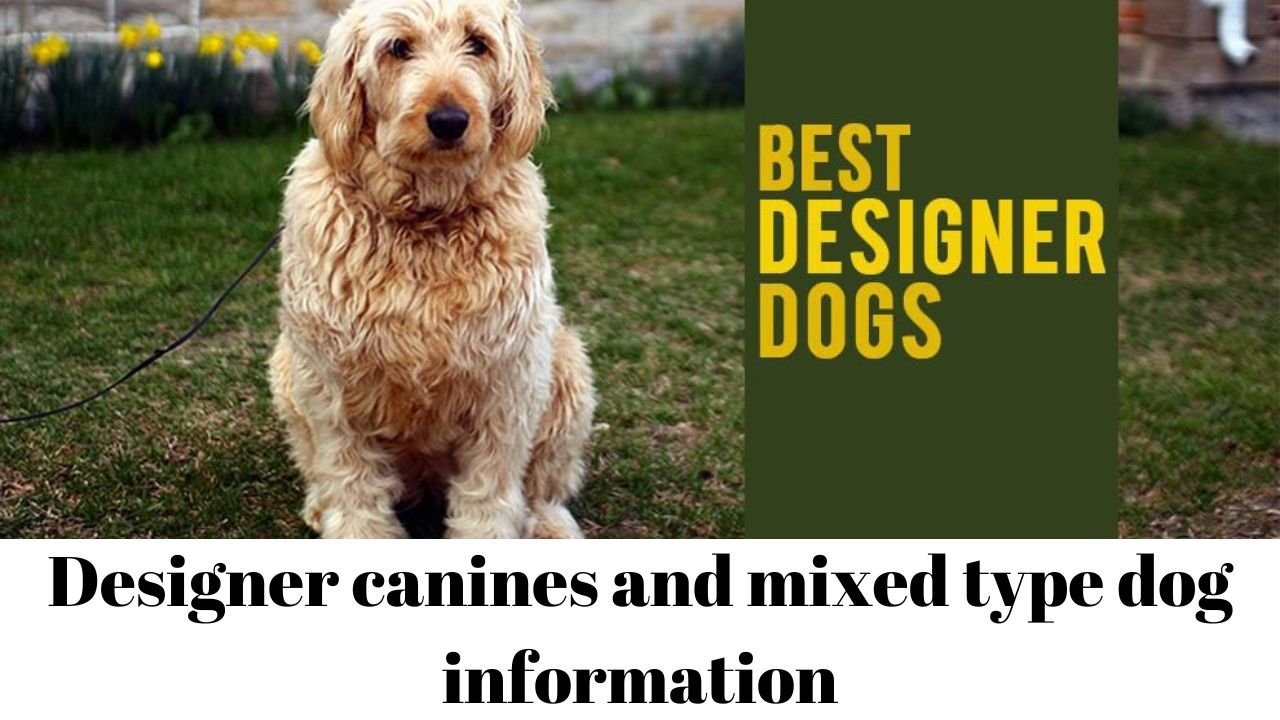 Designer canines and mixed type dog information