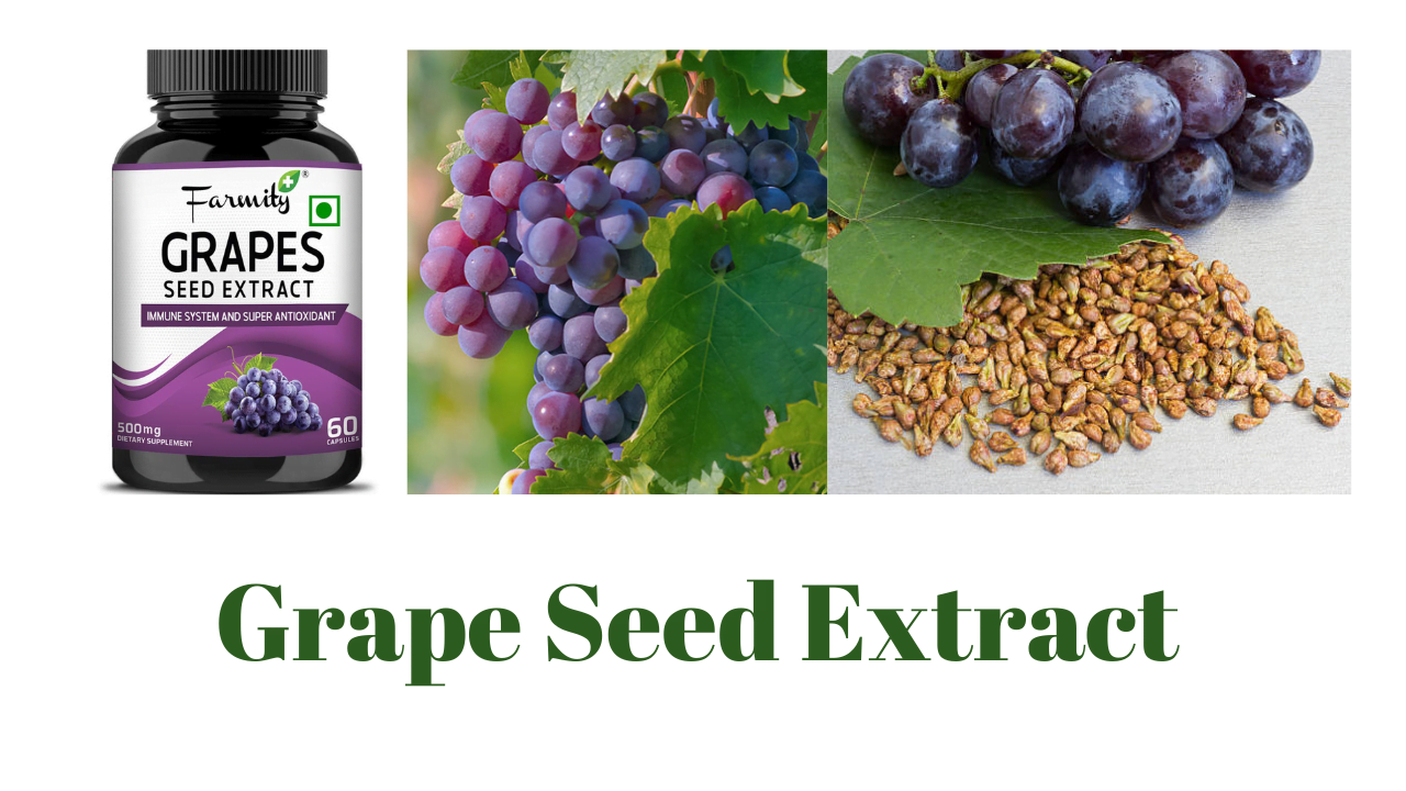 Grape Seed Extract