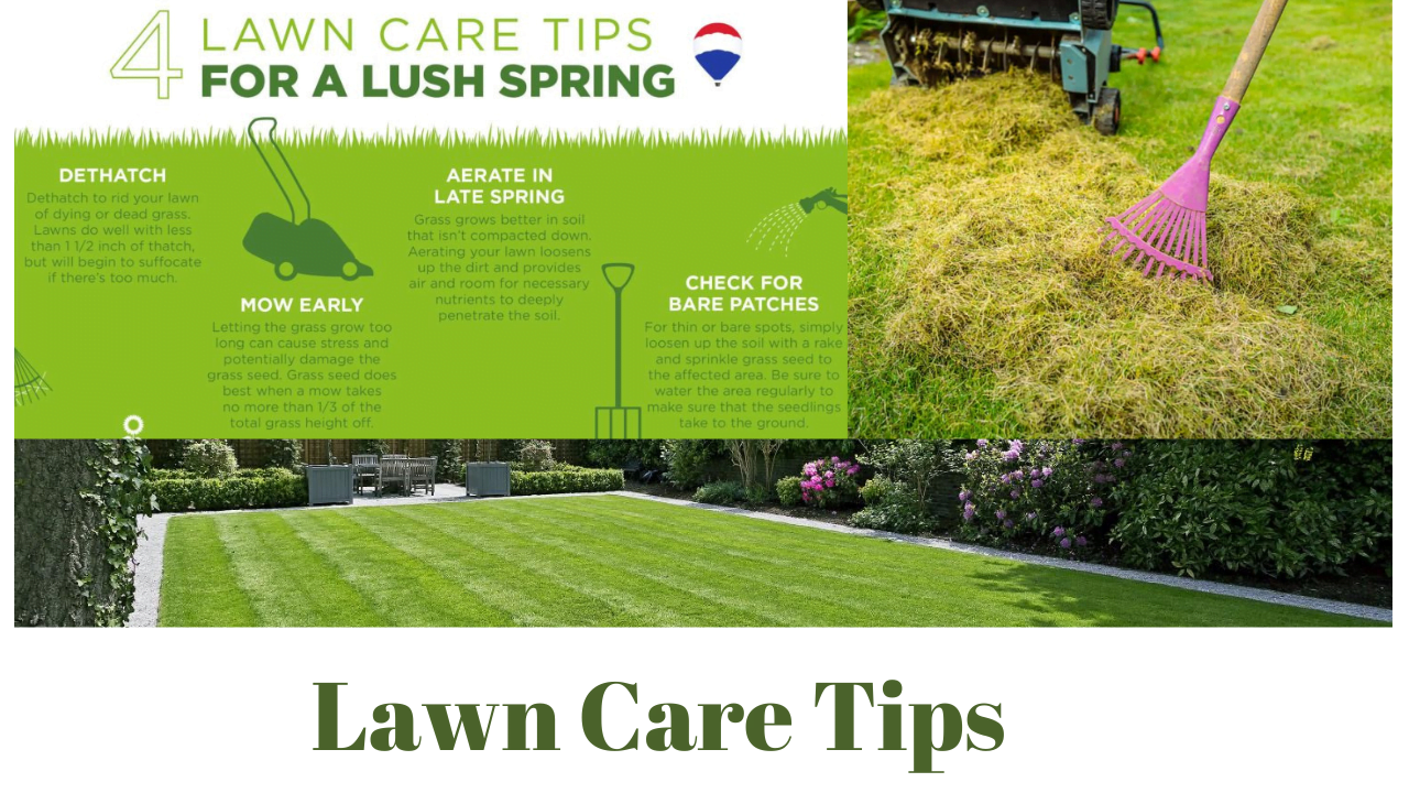 Lawn Care Tips