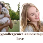 Why Hypoallergenic Canines Required Love